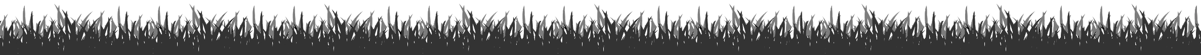 Decorative Border